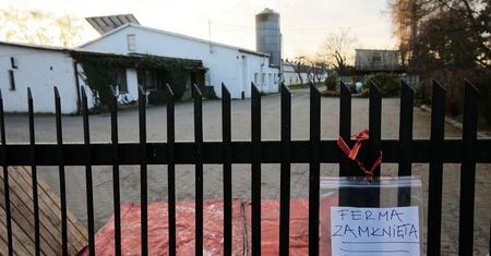 Wielkopolskie: rozpoczęto gazowanie 65 tys. kur niosek chorych na ptasią grypę