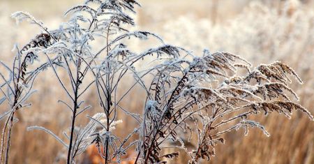 Niedziela pogodna w większości kraju. Słaby śnieg poprószy tylko na południowym-wschodzie