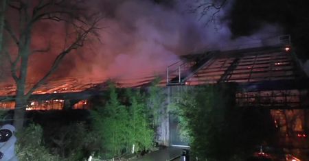 Pożar małpiarni w niemieckim zoo, zginęło ponad 30 zwierząt. Prawdopodobną przyczyną wybuch fajerwerków