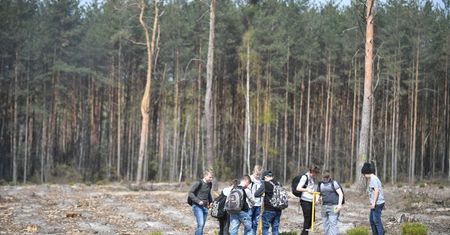 Sadzenie lasów może prowadzić do niedoboru wody