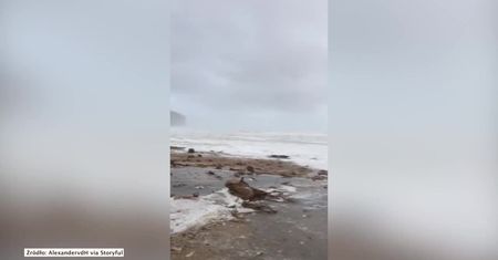 Silny wiatr, deszcz i śnieg w Hiszpanii. Burza Gloria nad Półwyspem Iberyjskim