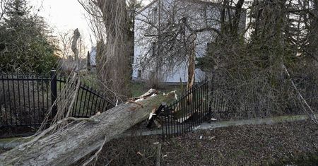 IMGW: silny wiatr w większości Polski