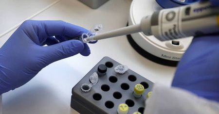 Biotechnolodzy z UG zbadają wpływ infekcji towarzyszących na przebieg COVID-19