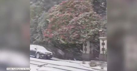 Śnieg w Nowej Zelandii. Antarktyczne powietrze doprowadziło do spadku temperatury do zera