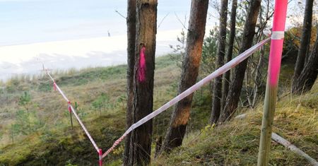 Pozytywna decyzja środowiskowa ws. przekopu Mierzei Wiślanej utrzymana w mocy