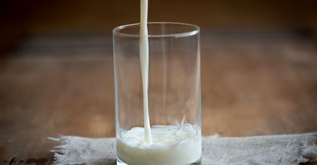 Jak wybrać odpowiednie mleko roślinne?