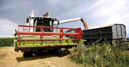 Żniwa przyspieszyły, jest urodzaj zbóż