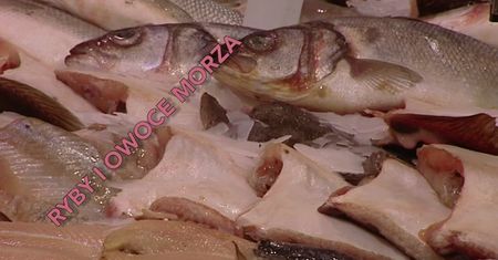 Jak przechowywać żywność? Przydatne rady