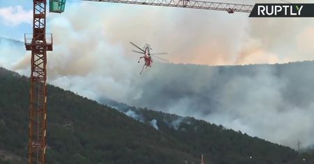 Pożary lasów we Włoszech. Strażacy walczą z ogniem z powietrza