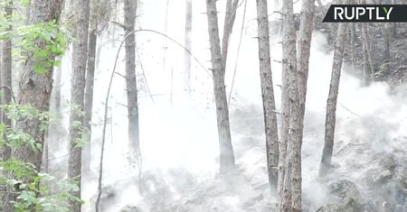Stan wyjątkowy w mieście L’Aquila we Włoszech. Pożary lasów zagrażają mieszkańcom