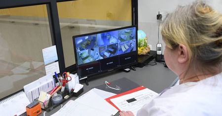 Kraje z obowiązkowymi szczepieniami przeciw gruźlicy łagodniej przechodzą pandemię