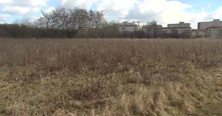 Sąd przekazał działkę mężczyźnie, bo ten twierdził, że uprawiał na niej rabarbar. Urząd odkupił ją za 10 mln zł