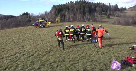 Spadające drzewo uderzyło 30-letniego drwala w głowę. W ciężkim stanie trafił do szpitala