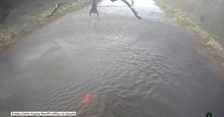Wciąż płoną lasy na Florydzie. Do walki z ogniem skierowano helikopter, którzy służył podczas wojny w Wietnamie