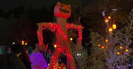 Halloweenowa zabawa w Wuhan bez ograniczeń