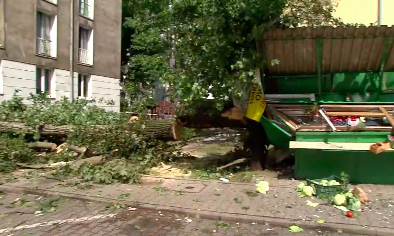 Zmiażdżone auta, drzewa powyrywane z korzeniami. Skutki nawałnic w Warszawie