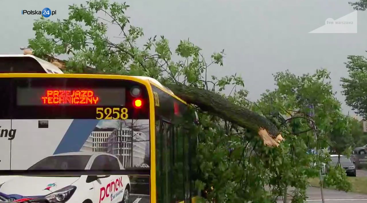 Drzewo na autobusie. Nad Warszawą przeszła wichura