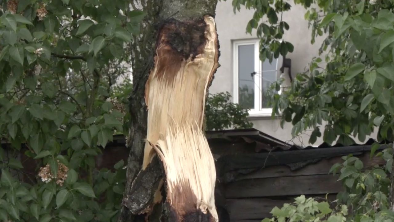 Wiatr łamał drzewa jak zapałki. Skutki nawałnicy w Łodzi