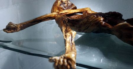 Badacze uważają, że Ötzi korzystał z akupunktury
