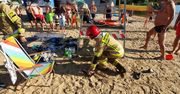 Wąż grasował po plaży, a osy w samochodzie