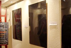 Wystawa psów bez psów