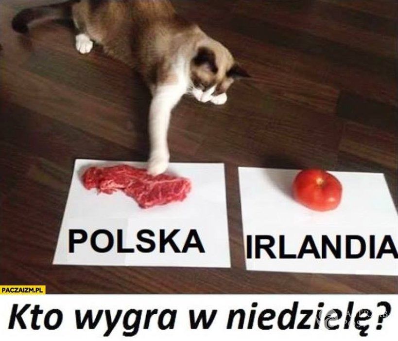 Memy po meczu Polska-Irlandia Północna