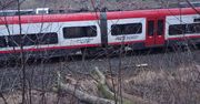 Powalone drzewo zatrzymało pociągi na trasie Chodzież – Poznań