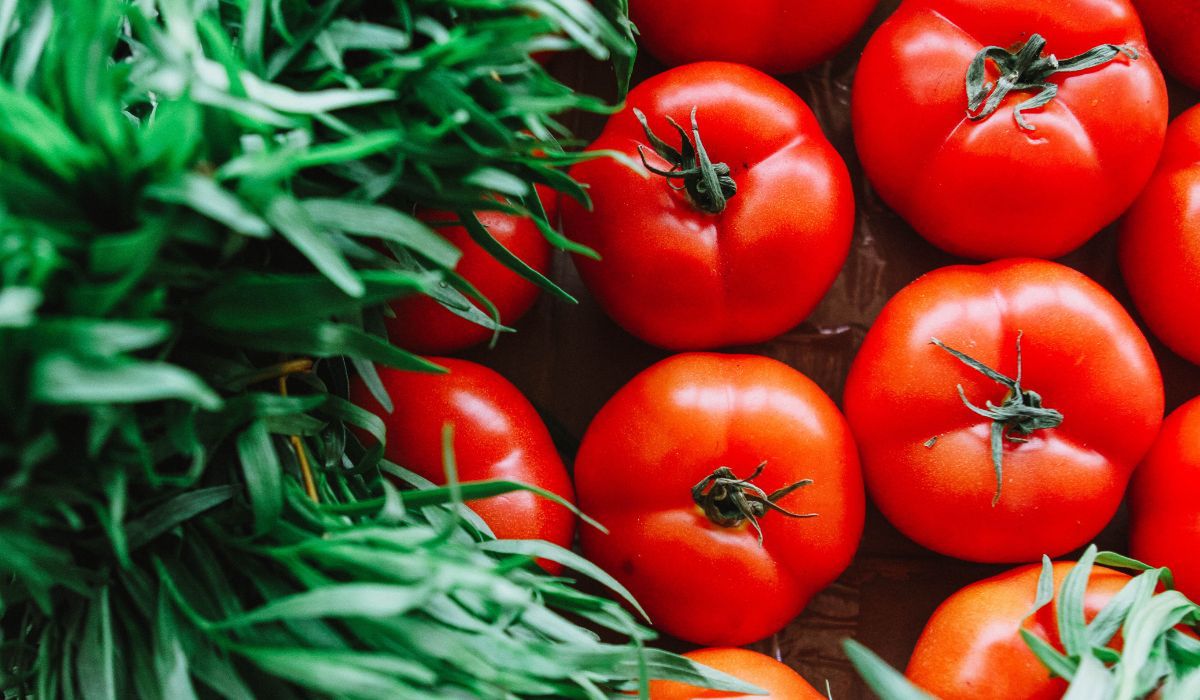 Pomidory na odporność - Pyszności; foto: Canva