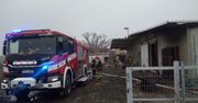 W ogniu zginęło 100 prosiąt i 14 macior
