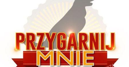 "Przygarnij mnie": w programie wystąpi aż 7 gwiazd! Znamy też skład jury i nazwisko prowadzącej