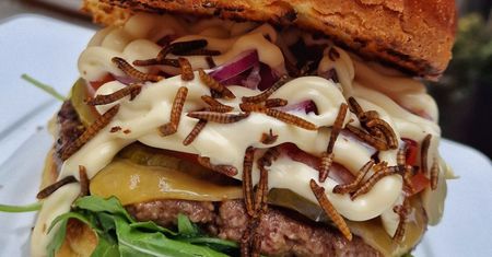 Burger z robakami trafił do oferty popularnej sieci. W komentarzach zawrzało