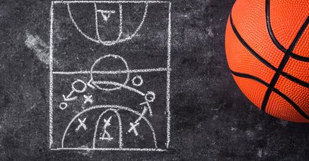 NBA w zwierzęcym wydaniu, czyli nietypowa analiza poznańskich naukowców