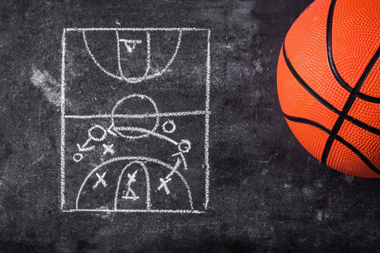 NBA w zwierzęcym wydaniu, czyli nietypowa analiza poznańskich naukowców