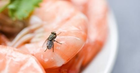 Wyjmij z szafki i wrzuć do szklanki. Pozbędziesz się much niemal od razu. Wiele lepsze od chemii