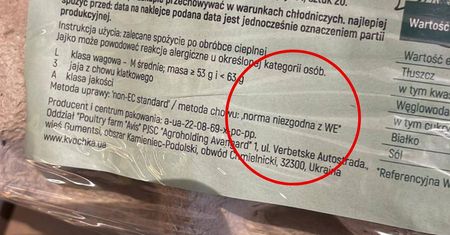 Jajka z Ukrainy w polskich sklepach. Jedna z sieci wprowadziła je, mimo "niezgodnej normy"