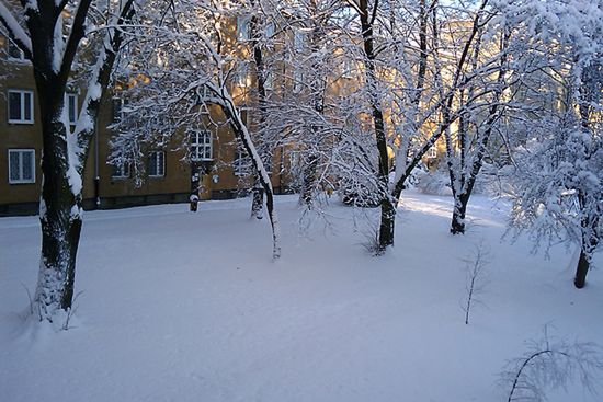 Obraz