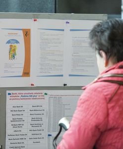 Jasne stanowisko PSL w sprawie 500+. "Zablokujemy każdą próbę odebrania"