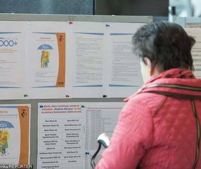 Jasne stanowisko PSL w sprawie 500+. "Zablokujemy każdą próbę odebrania"