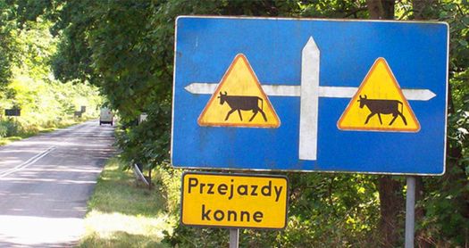 Dziwaczne znaki