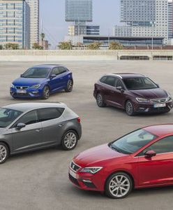Nowy Seat Leon – elegancko i z charakterem