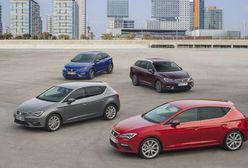 Nowy Seat Leon – elegancko i z charakterem