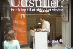 Siedzą w oknie i czekają na pracę