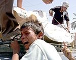 ONZ: Wojna domowa w Iraku wisi na włosku