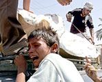 ONZ: Wojna domowa w Iraku wisi na włosku