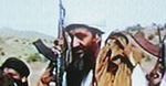 Osama bin laden świętuje rocznicę zamachów na WTC