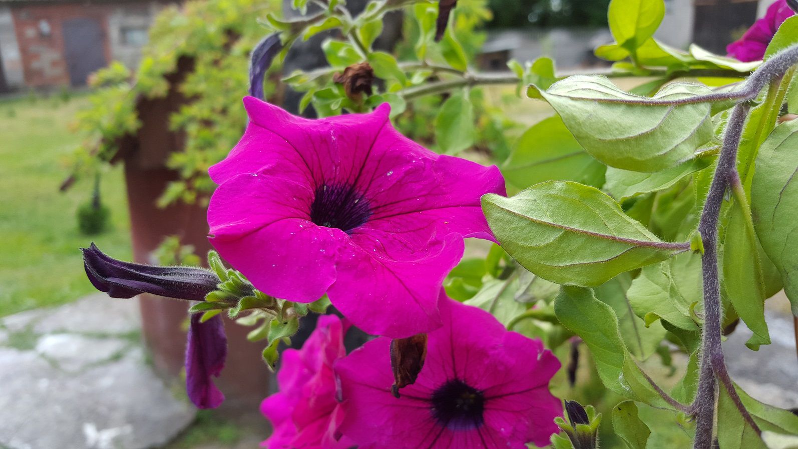 Test Samsunga Galaxy S6 – szaleństwo QuadHD i siła ośmiu rdzeni 16