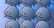 FreeDOS obchodzi 20. urodziny, wciąż ciesząc się sporym zainteresowaniem