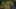 Path of Exile na weekend