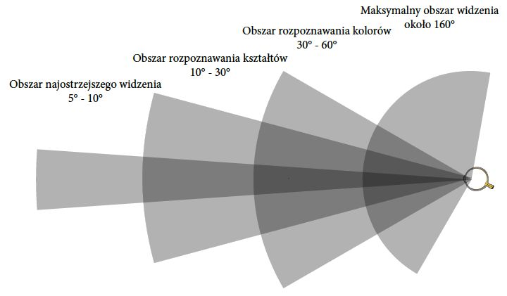 Obszary widzenia ludzkiego oka. Pamiętajmy, że ludzie umieją szybko ruszać oczami i szybko obracać głowy