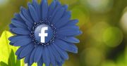 Moves jednak przekaże dane użytkowników Facebookowi